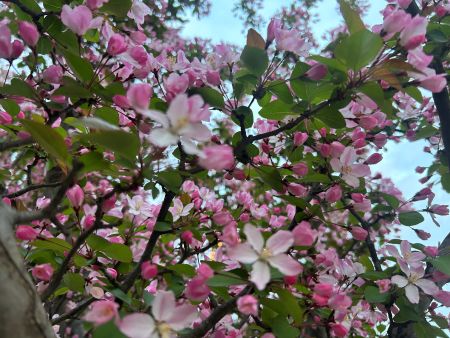 微信圖片_20260401162953